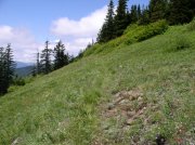 6.10.06 Table Mtn_3CR 123 